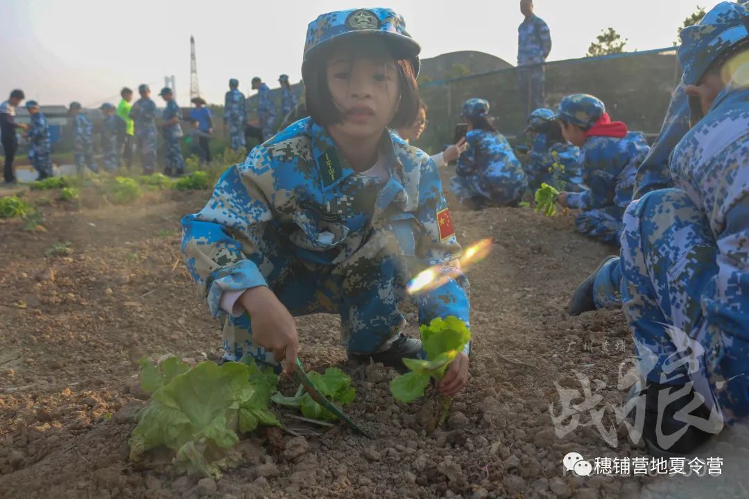 肇庆军事化军训夏令营收费，三十五天青少年军事化寒假夏令营研学拓展案例